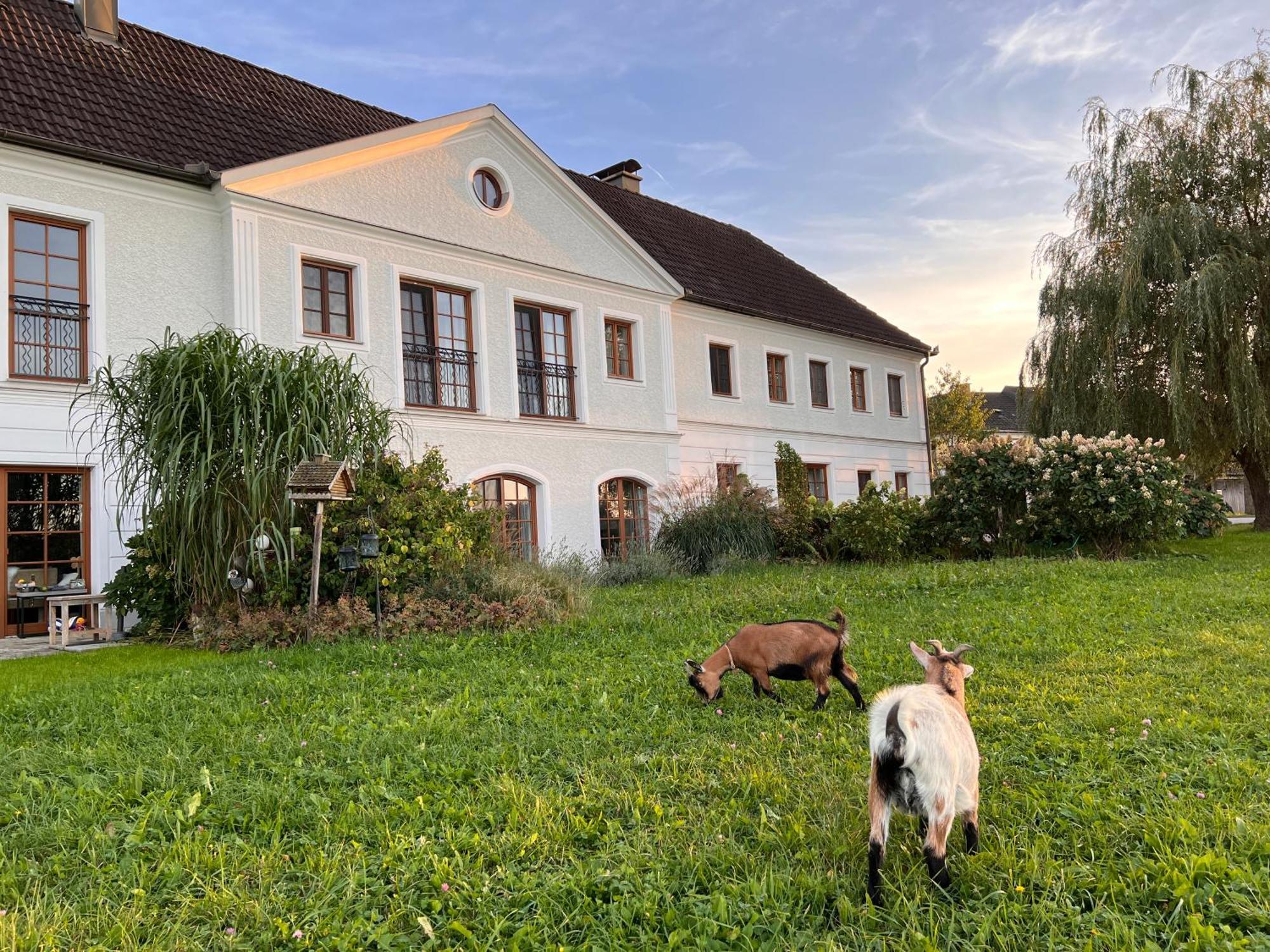 Landhaus Aigner Allhartsberg Exteriör bild