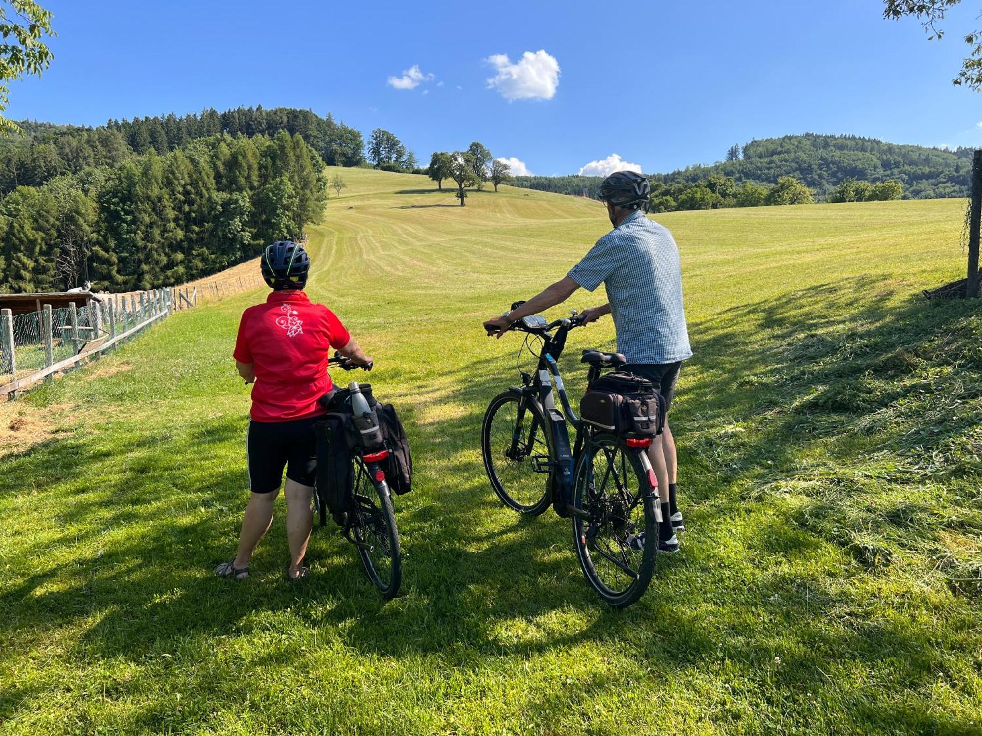 Landhaus Aigner Allhartsberg Exteriör bild